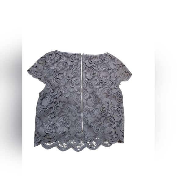 White House Black Market Lace Blouse in Gray ~Size Small - Picture 4 of 6